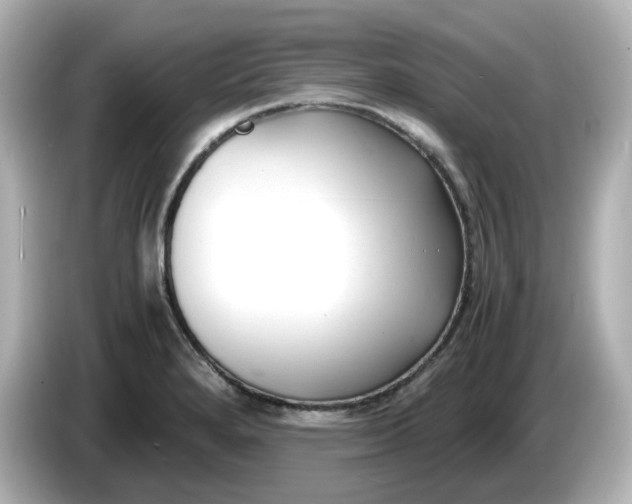 X0000086011280200704091049