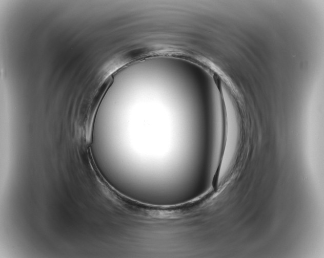 X0000086011281200704091049