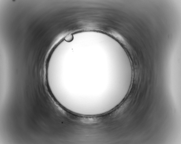 X0000086011286200704091049