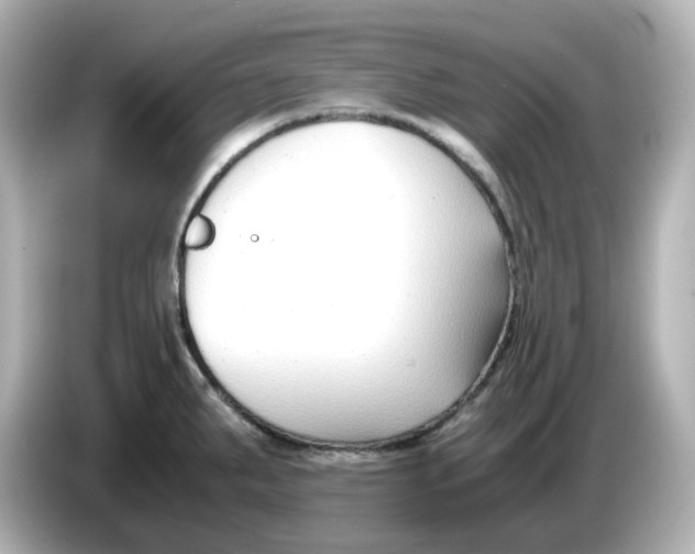 X0000086011287200704091049