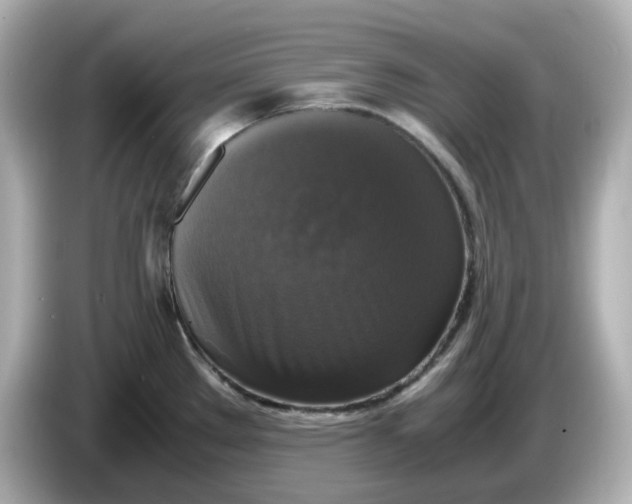 X0000086011289200704091049