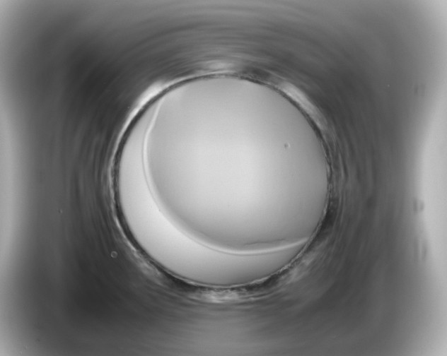 X0000086011291200704091049