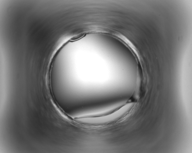X0000086011293200704091049