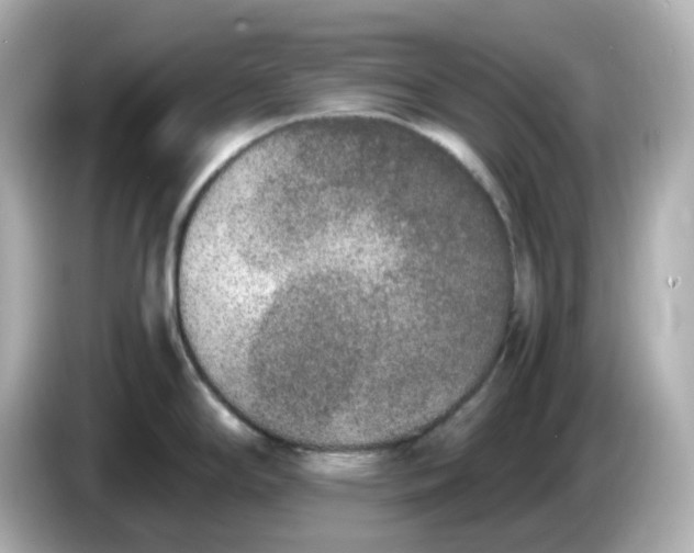 X0000086011294200704091049