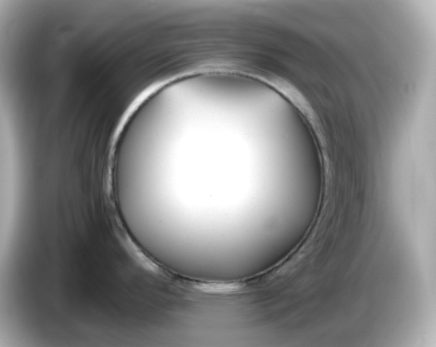 X0000086011296200704091049