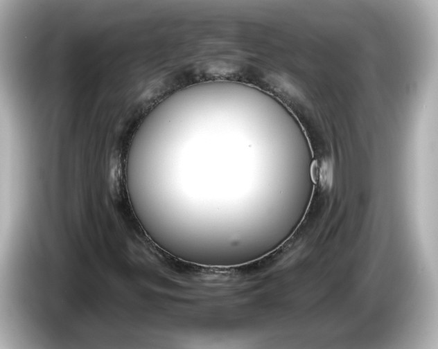 X0000086011299200704091048