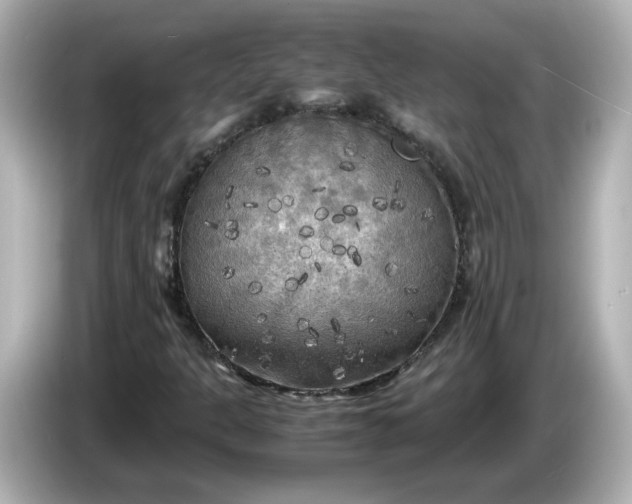 X0000086011301200704091048