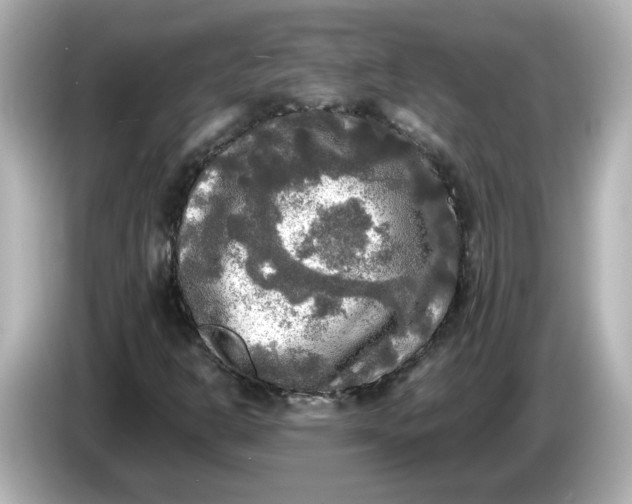 X0000086011302200704091048