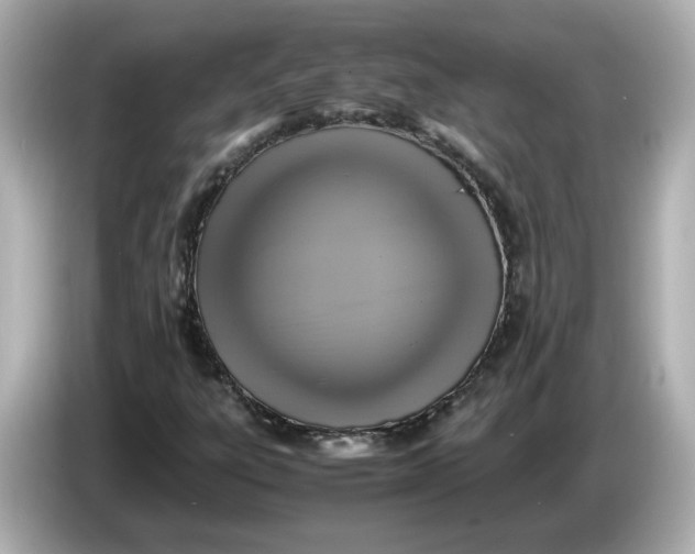 X0000086011303200704091048