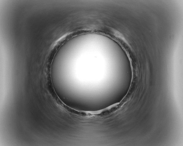 X0000086011304200704091048
