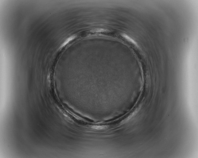 X0000086011305200704091048