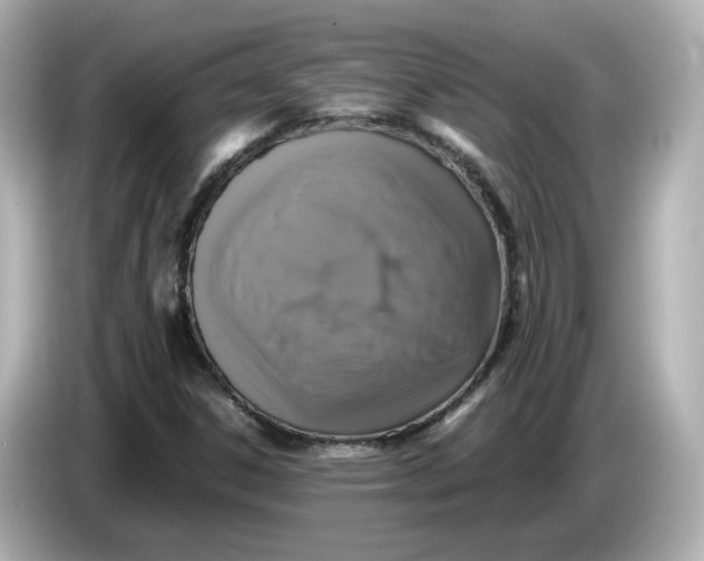 X0000086011306200704091048