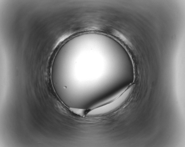 X0000086011308200704091048