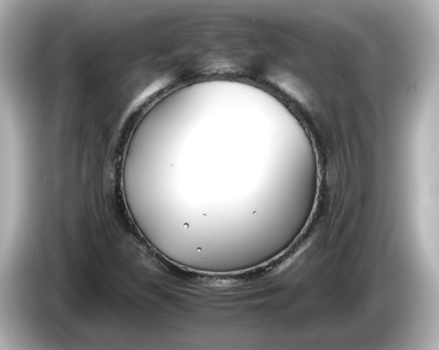 X0000086011309200704091048