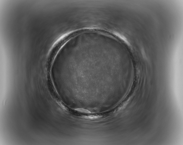 X0000086011311200704091048