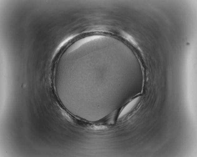 X0000086011312200704091048