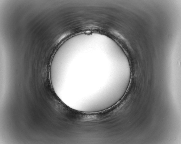 X0000086011313200704091048