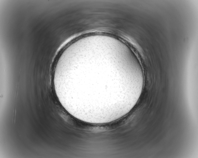 X0000086011316200704091048