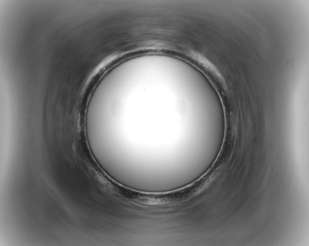 X0000086011318200704091048