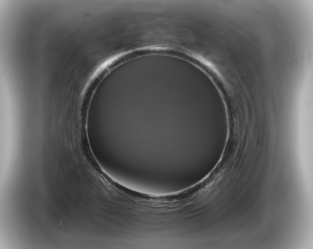 X0000086011319200704091048