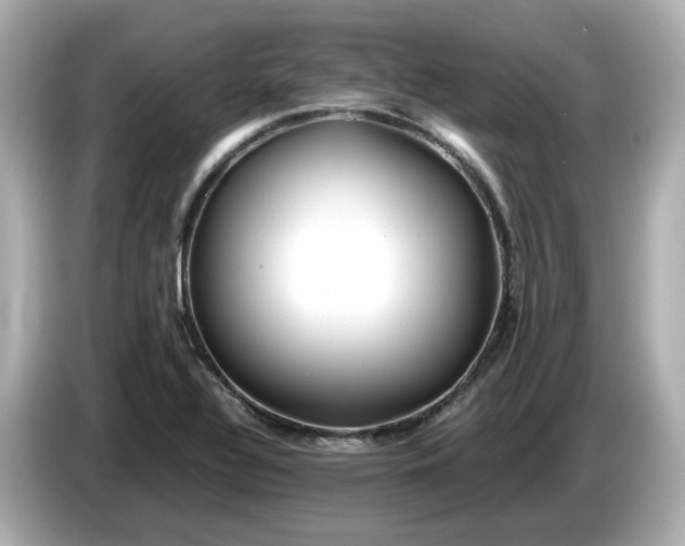 X0000086011320200704091048