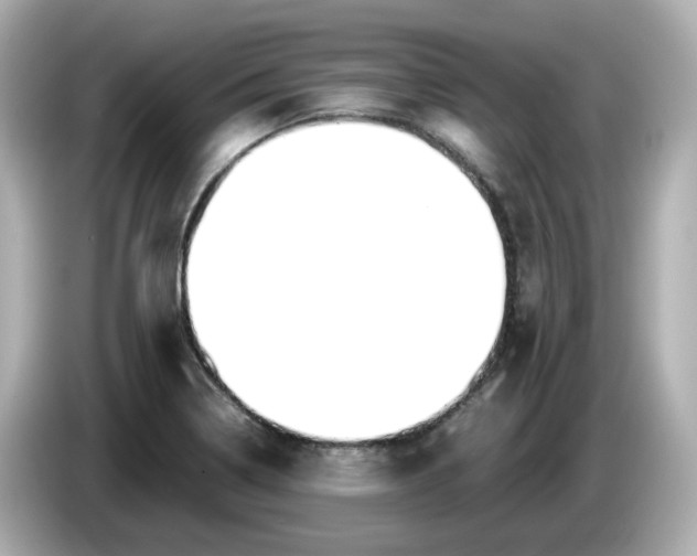 X0000086011322200704091048
