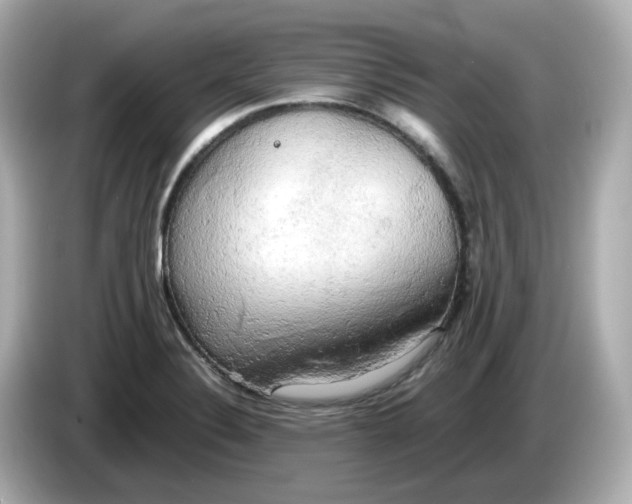 X0000086011324200704091048