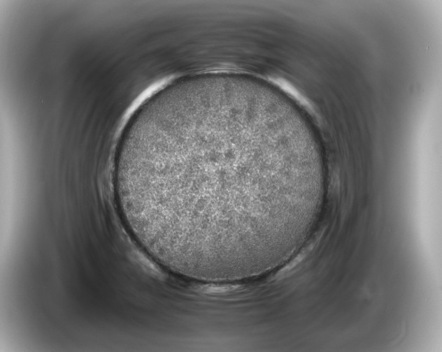 X0000086011325200704091048