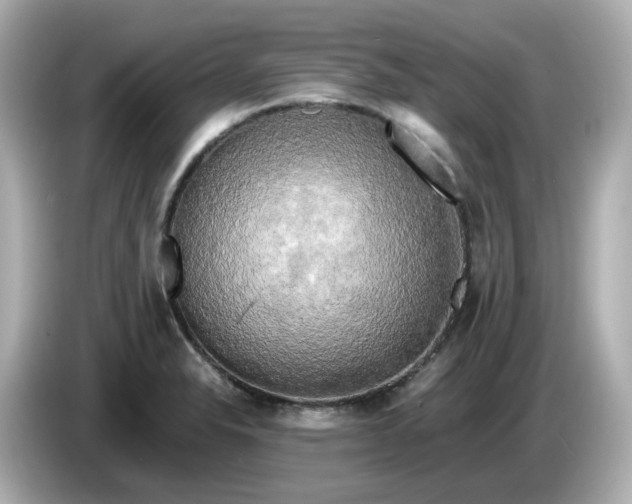 X0000086011326200704091048