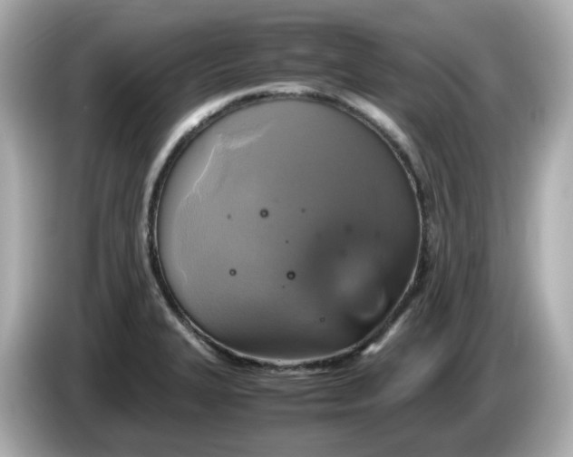 X0000086011327200704091048