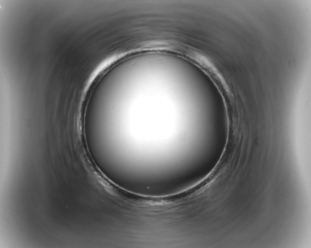 X0000086011328200704091048