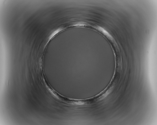X0000086011329200704091048