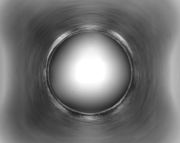 X0000086011330200704091048