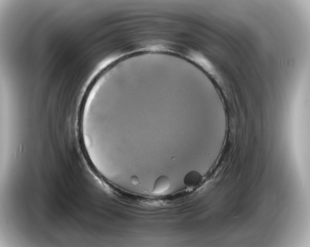 X0000086011331200704091048