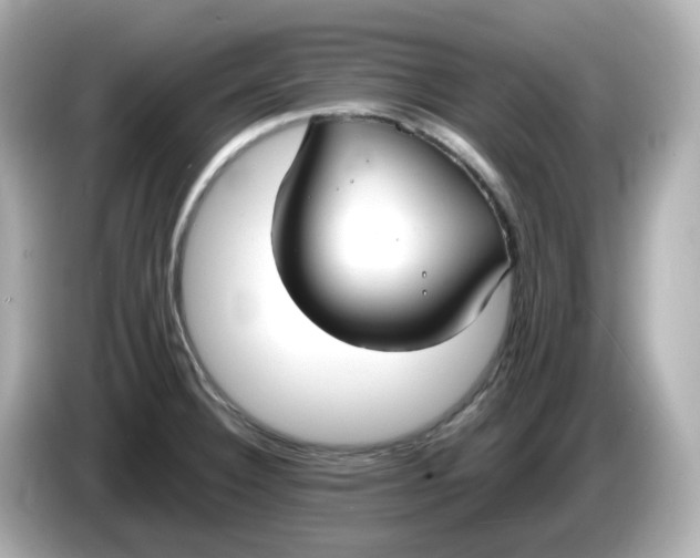 X0000086011332200704091048