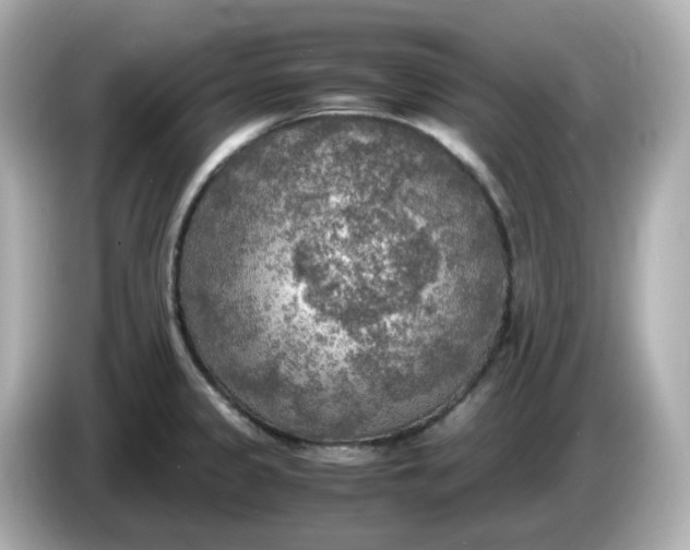 X0000086011333200704091048