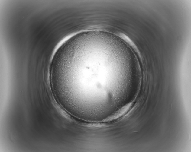 X0000086011336200704091048