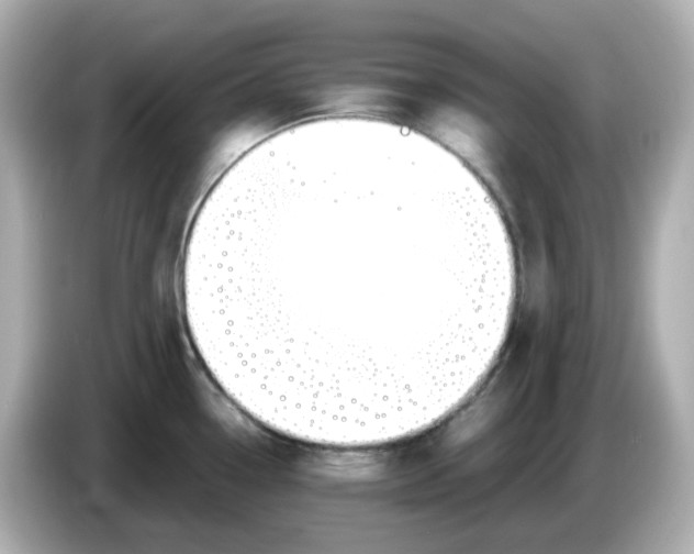 X0000086011338200704091049