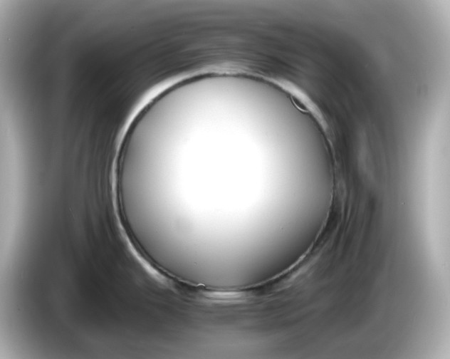 X0000086011343200704091049