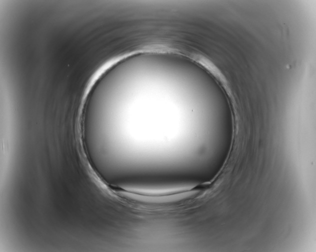 X0000086011344200704091049