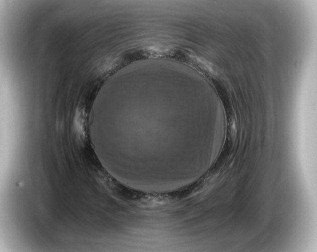 X0000086011346200704091048