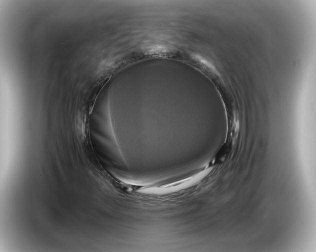 X0000086011348200704091048