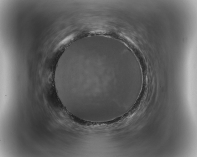 X0000086011351200704091048