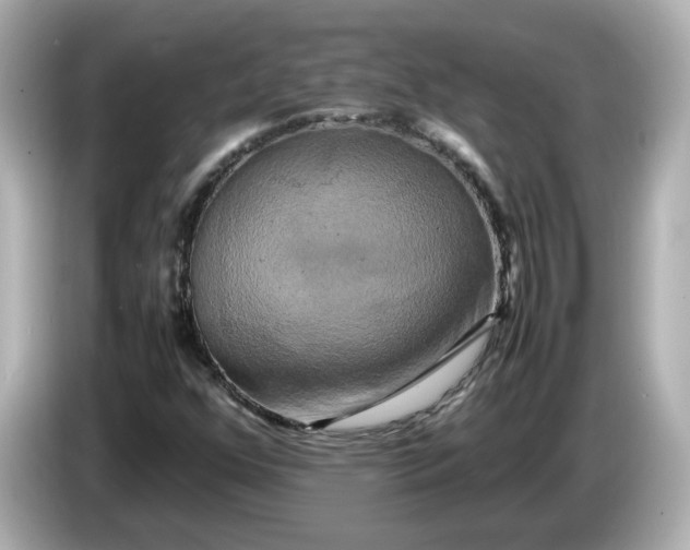 X0000086011352200704091048