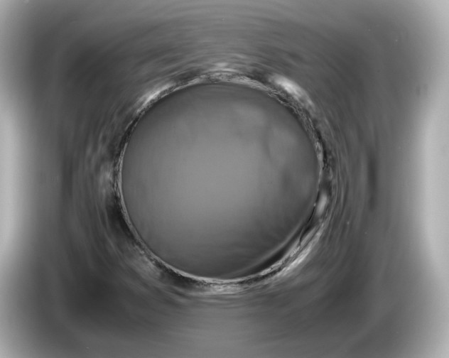 X0000086011353200704091048