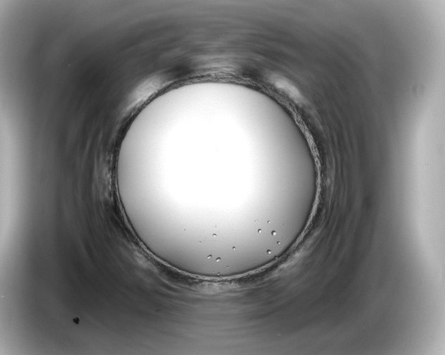 X0000086011354200704091048