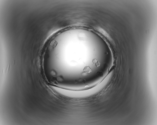 X0000086011356200704091048