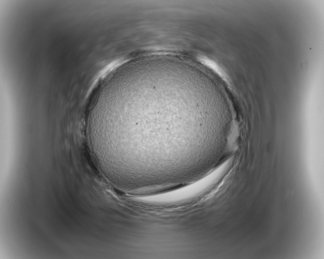 X0000086011357200704091048