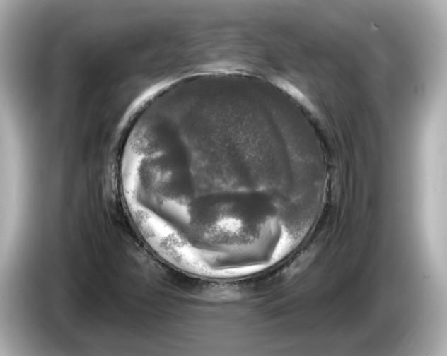 X0000086011358200704091048