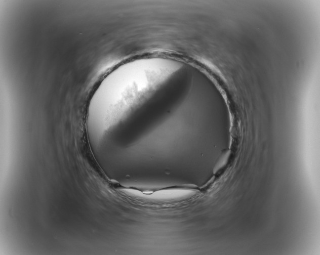 X0000086011359200704091048